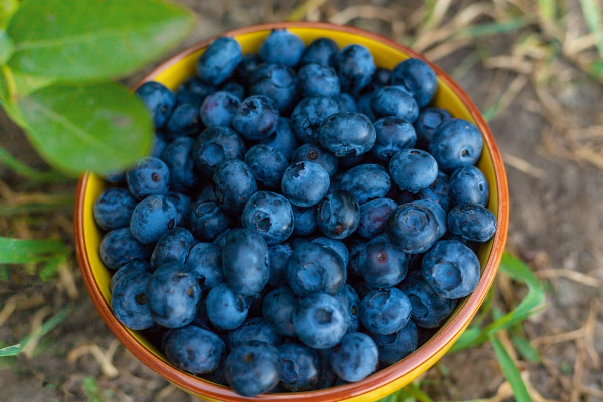 Pterostilbene